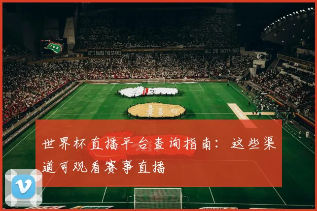 世界杯直播平台查询指南:这些渠道可观看赛事直播