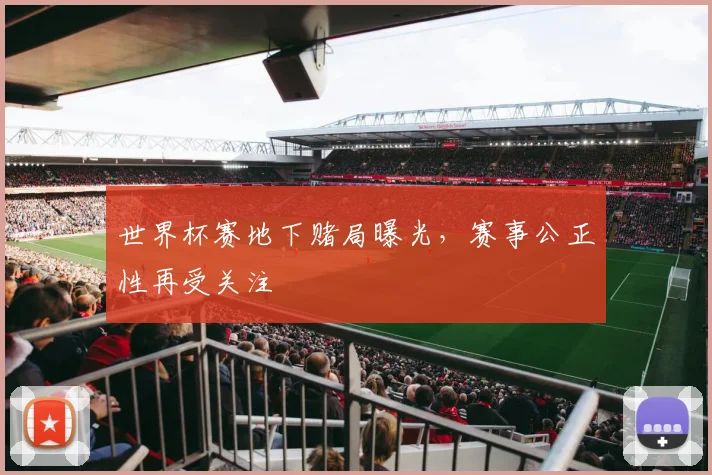 世界杯赛地下赌局曝光，赛事公正性再受关注