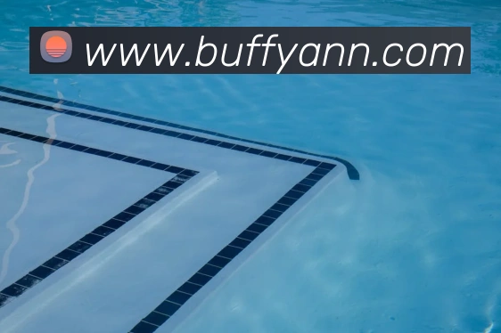 App Interface Preview